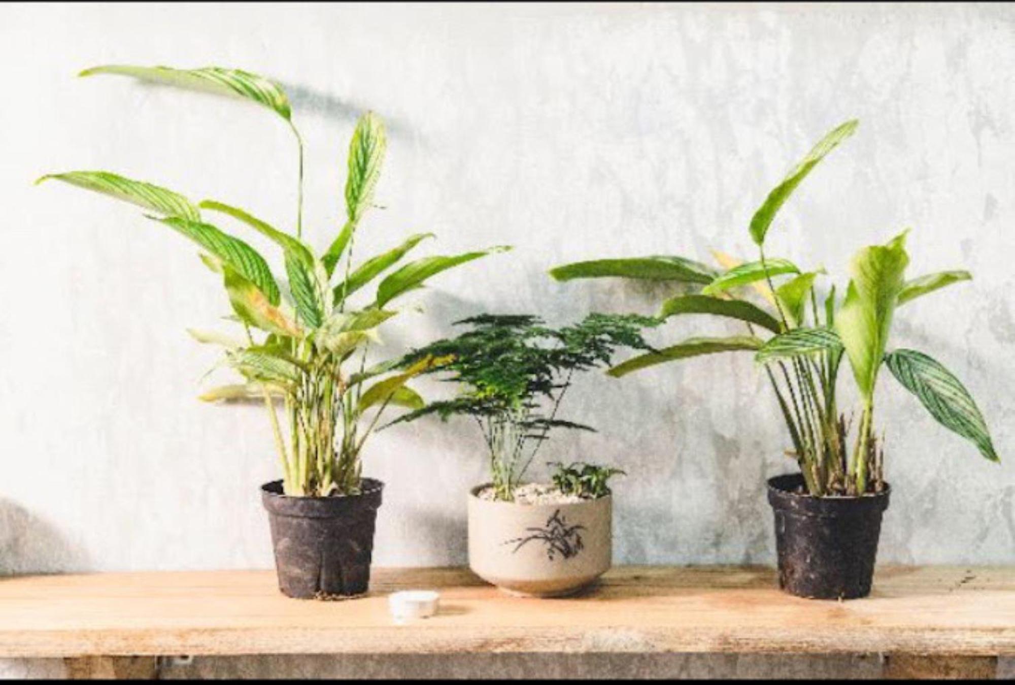 邦美蜀 Ban Urban House酒店 外观 照片